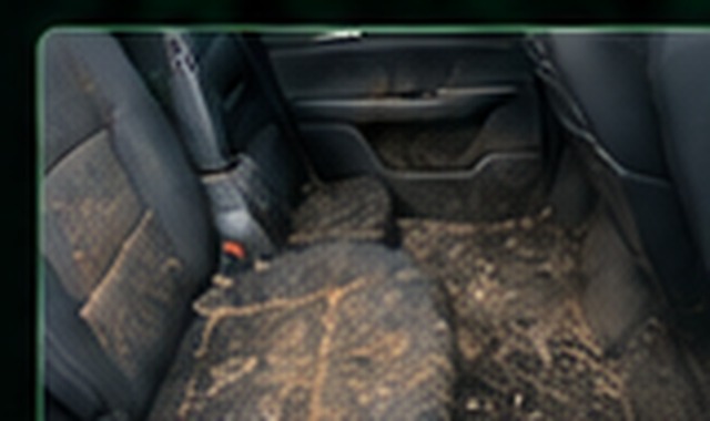 Heavy dirt + pet hair condition example